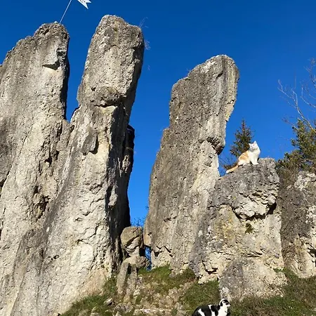 Zur Saegemuehle Lägenhet *