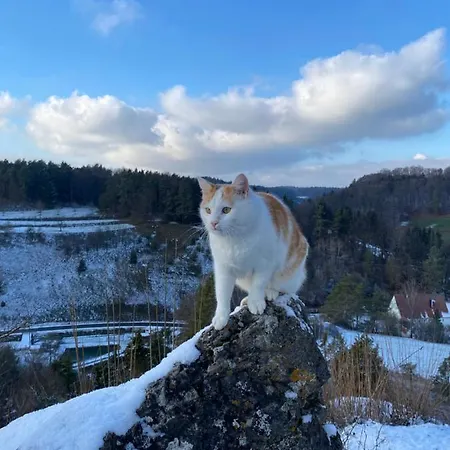 Zur Saegemuehle Hiltpoltstein
